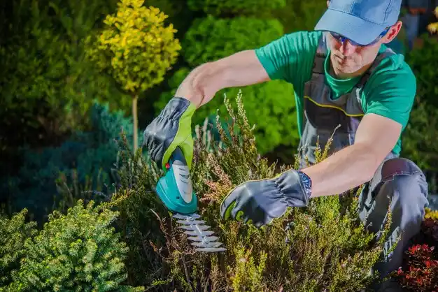landscaping services Buckeye Lake